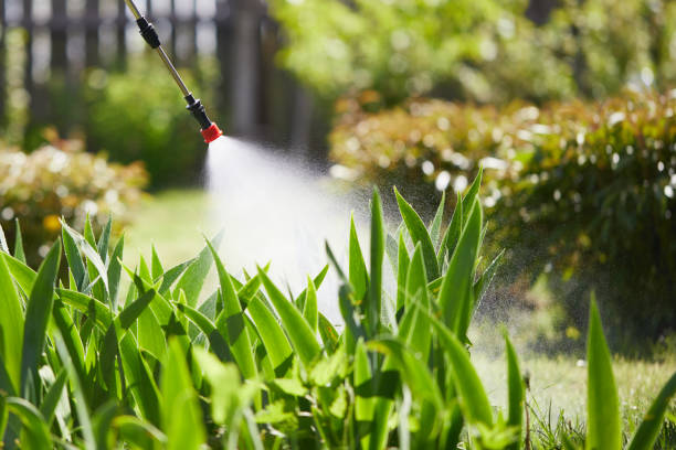 24/7 Emergency Cockroach Control experts in Forest City, PA