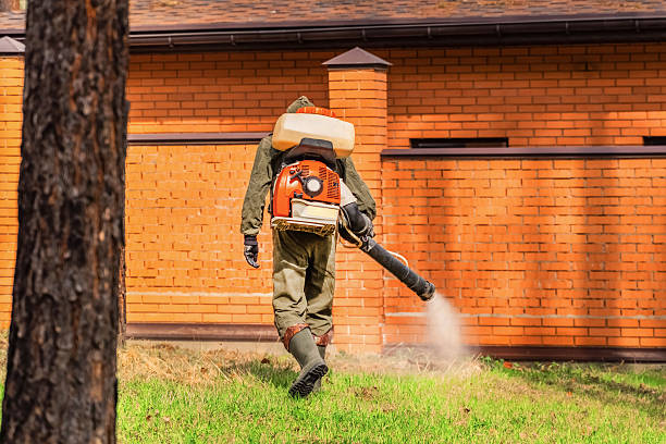 Top rated local Cockroach Control specialists in Forest City, PA